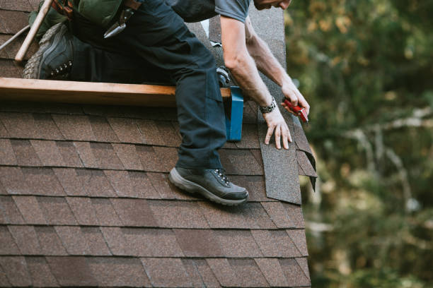 Roof Gutter Cleaning in Washington Park, FL